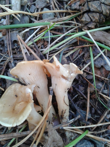 20140830_152321.jpg
