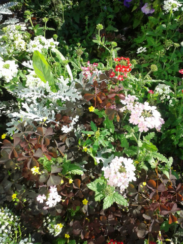 20140901_160350.jpg