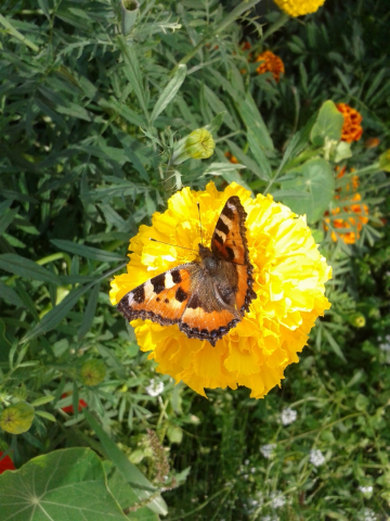 20140901_161827.jpg