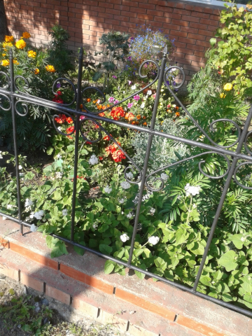 20140901_162749.jpg