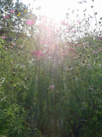 20140901_163022.jpg