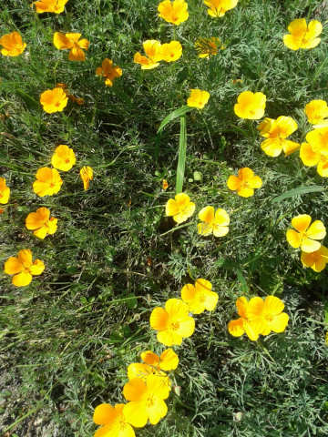 20140901_163105.jpg