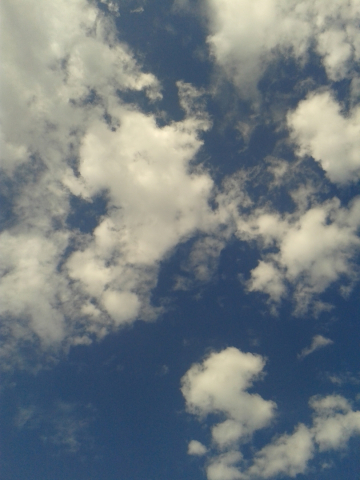 20140901_164113.jpg