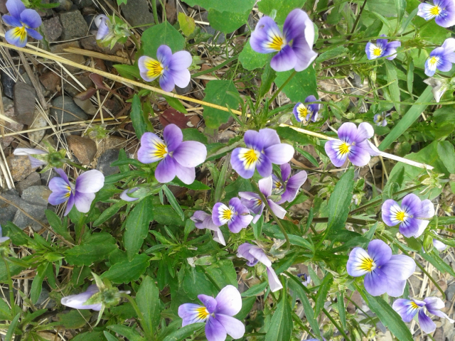 20150705_115610.jpg