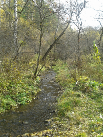 20151003_141836.jpg