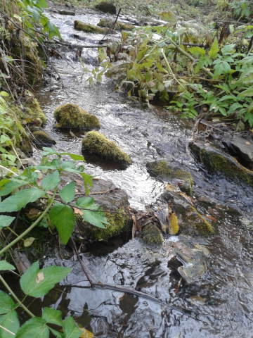 20151003_144540.jpg