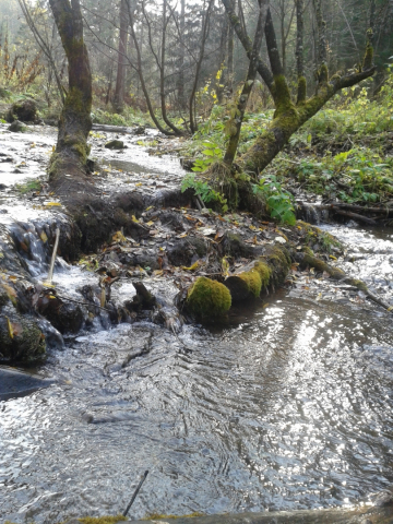 20151003_144643.jpg