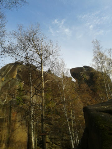 20151003_155109.jpg
