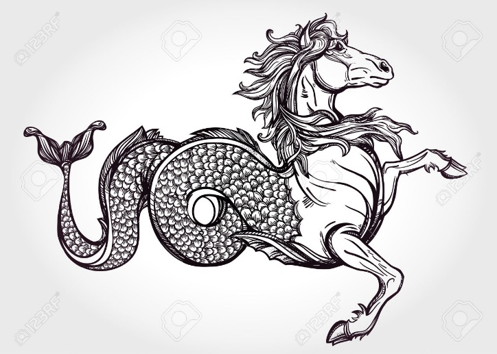 http://moziru.com/images/drawn-seahorse-heraldic-4.jpg